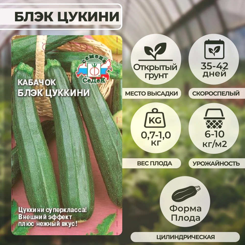 Кабачок Блэк цукини 2 г