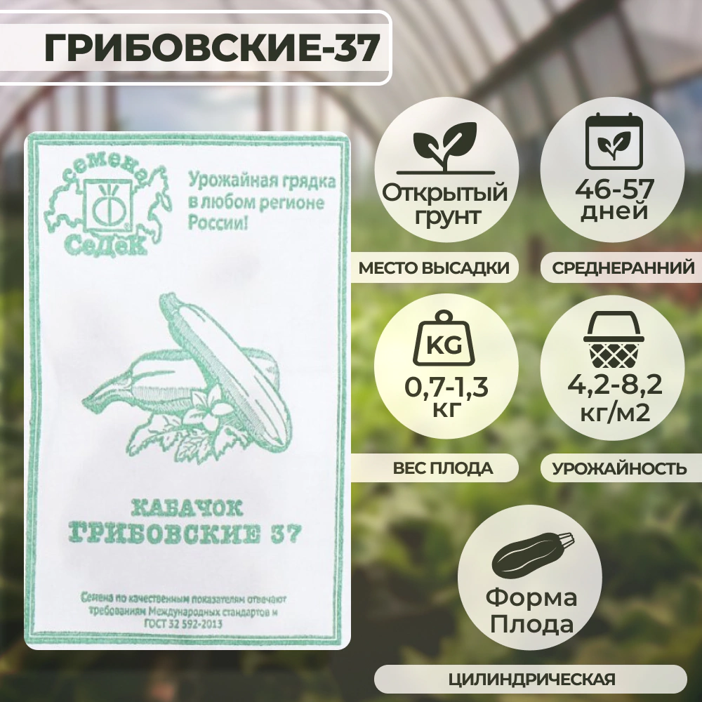 Кабачок Грибовские-37 2 г Седек