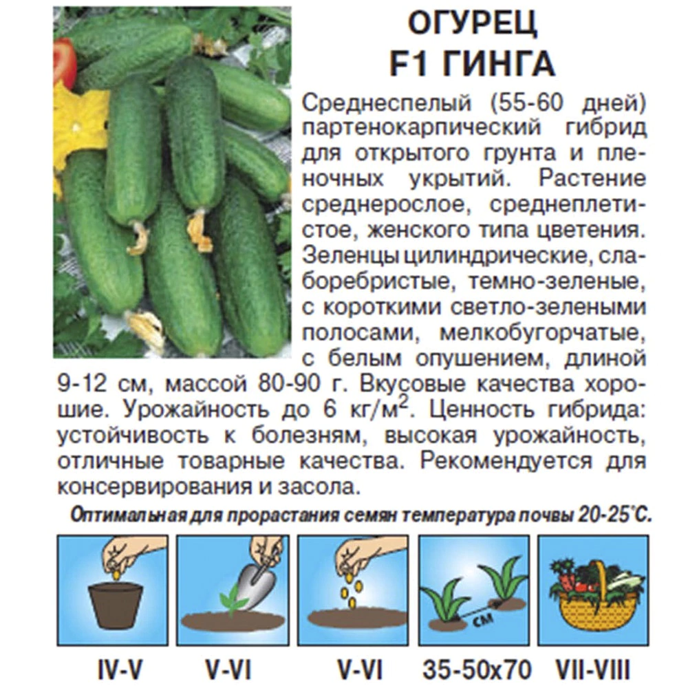 Огурец Гинга F1, 0,2 г Седек