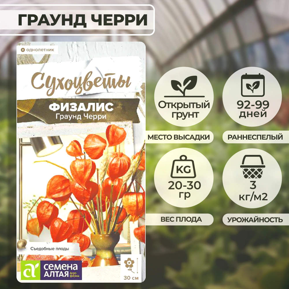 Физалис земляничный Граунд Черри 0,1 г