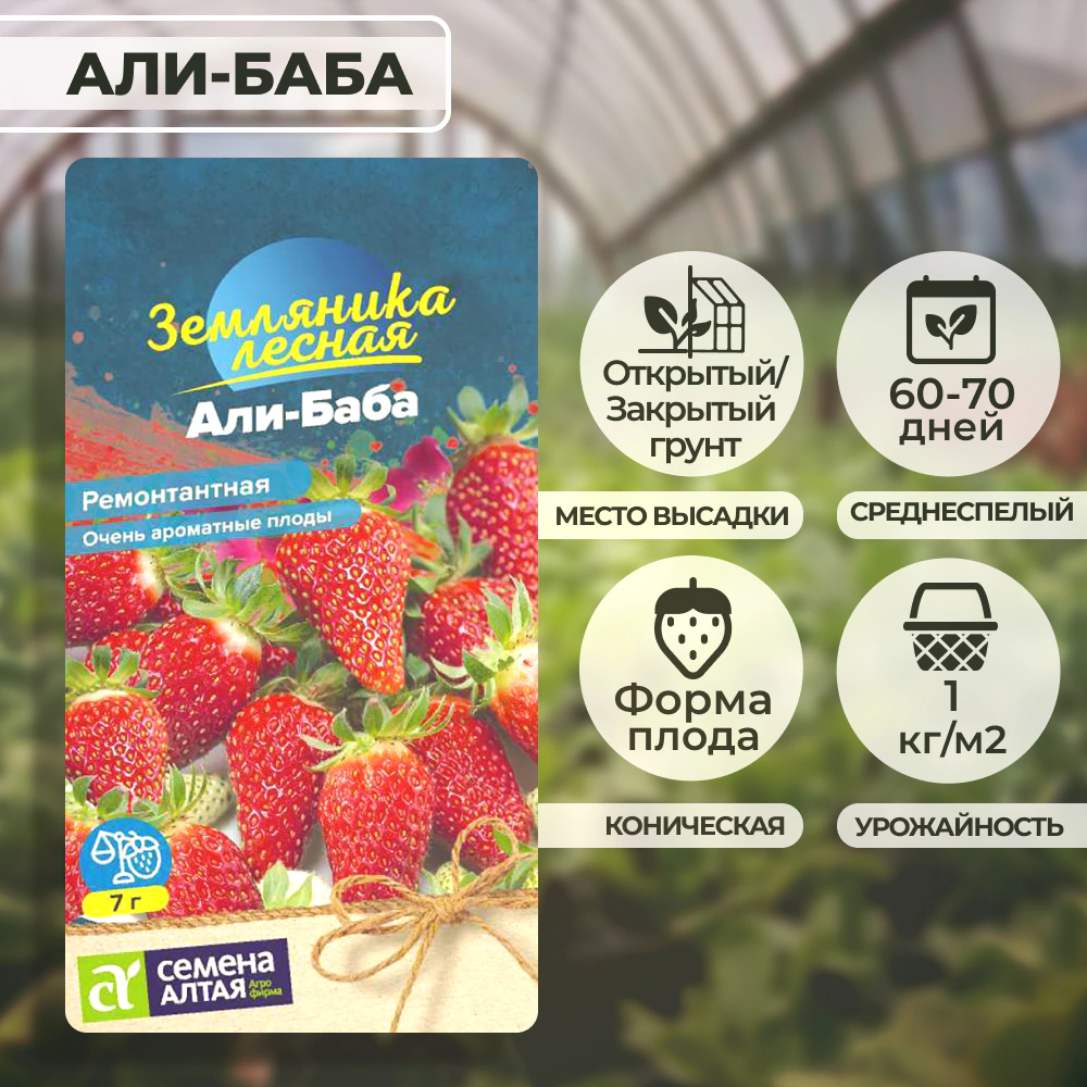 Земляника Али-Баба ремонтантная 0,04 г