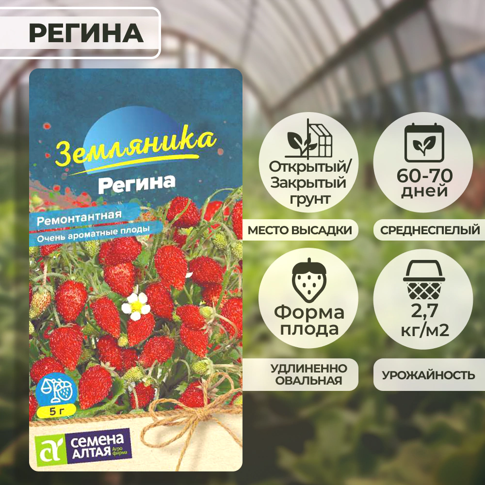 Земляника Регина ремонтантная 0,03 г