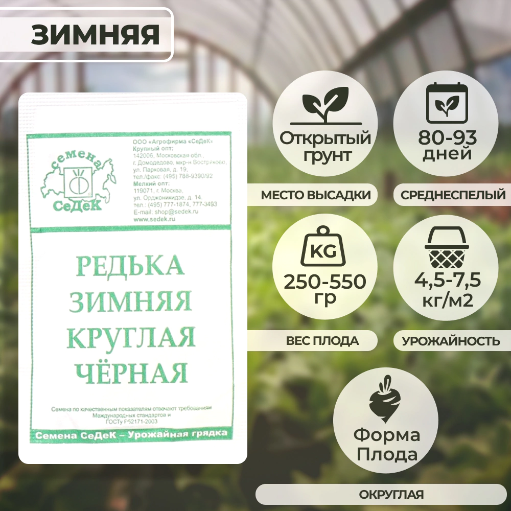 Редька Зимняя круглая черная 1 г Седек