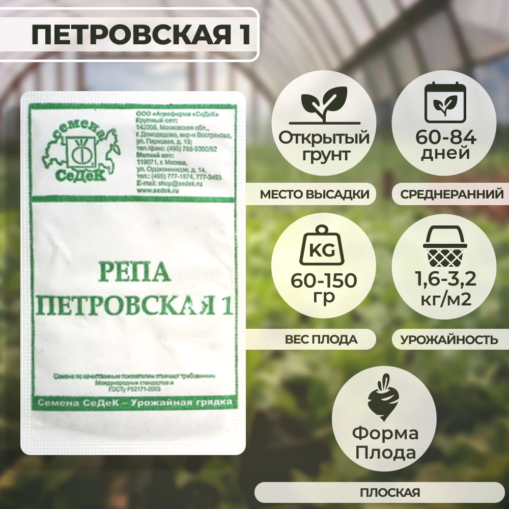 Репа Петровская 1 г Седек