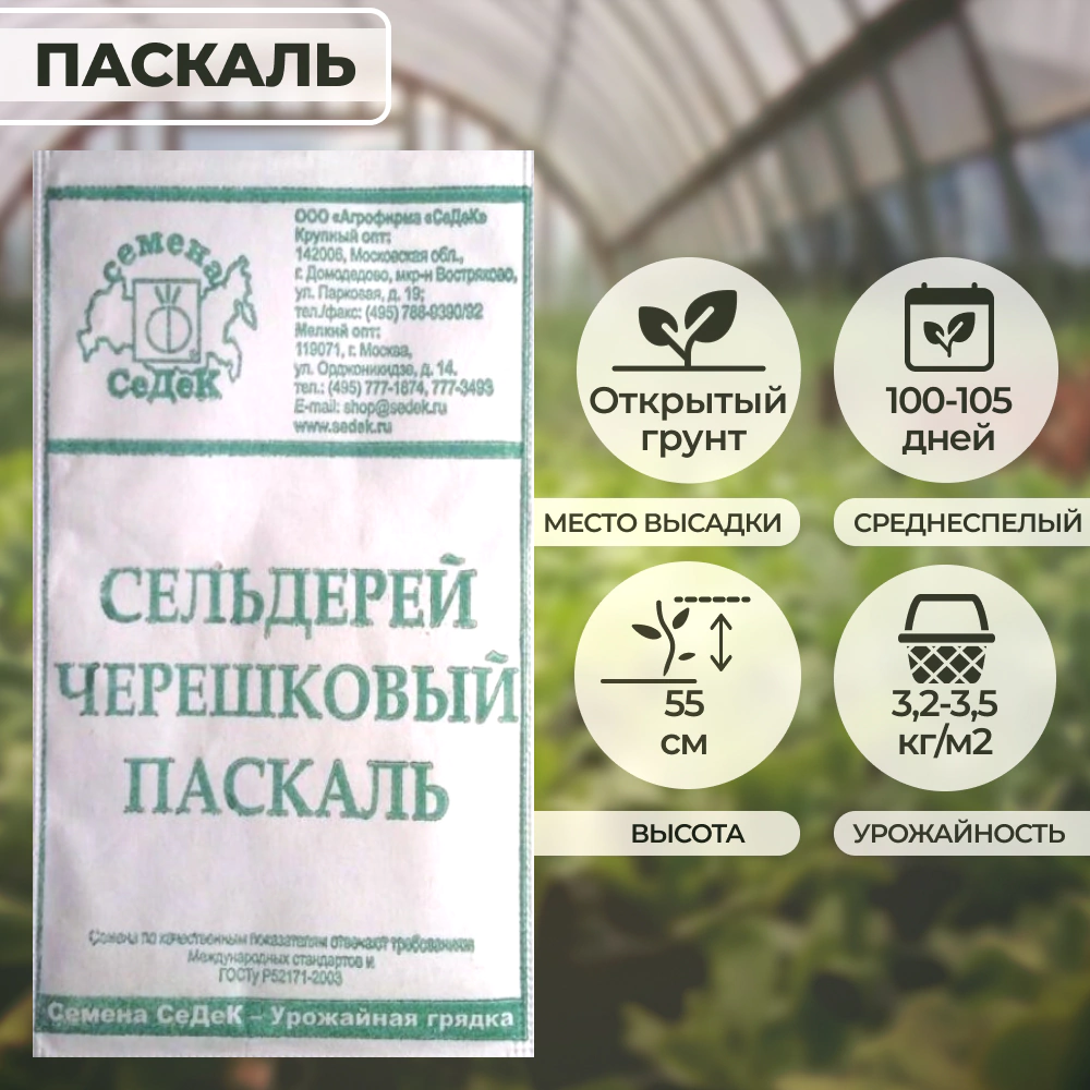 Сельдерей Паскаль черешковый 0,5 г