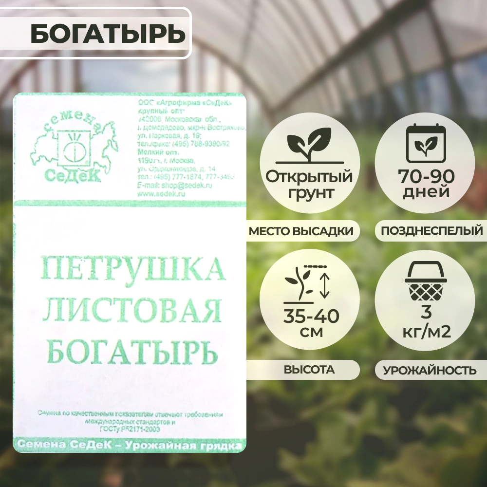 Петрушка листовая Богатырь 2 г Седек