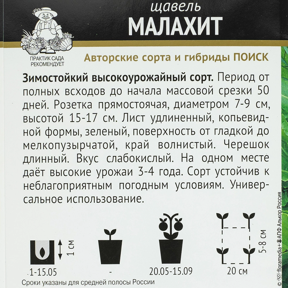 Щавель Малахит (А)