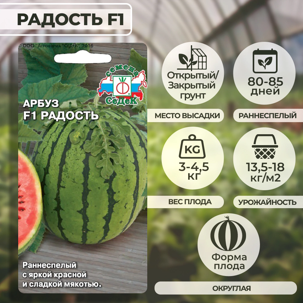 Арбуз Радость F1 1 г Седек