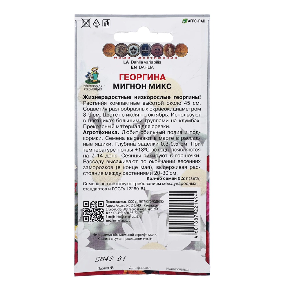 Георгина Мигнон микс