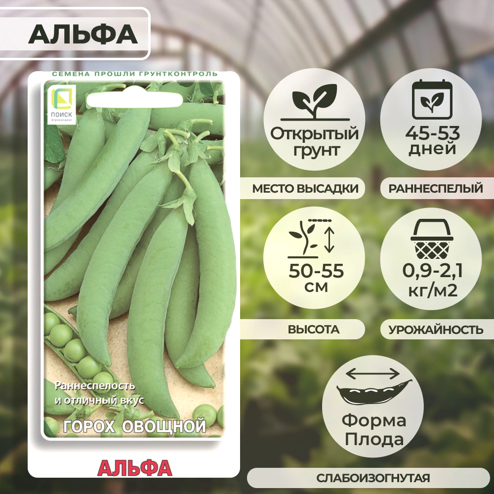 Горох овощной Альфа