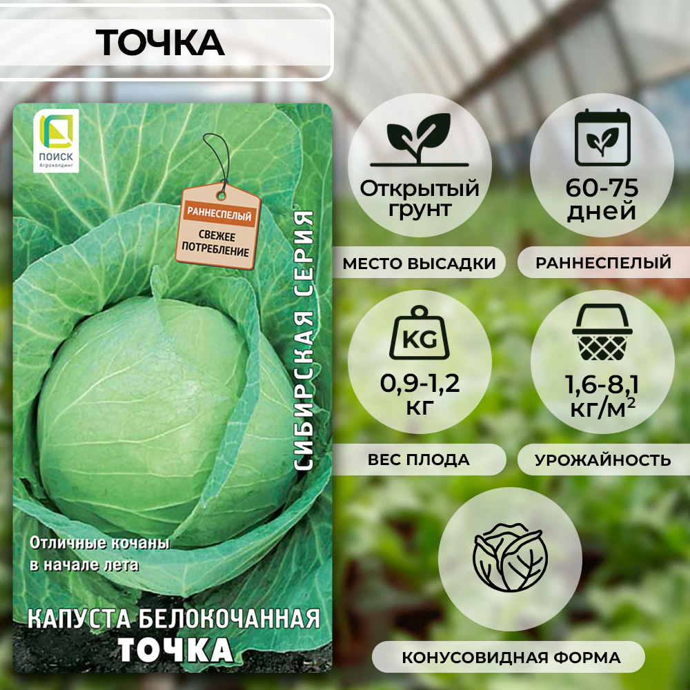 Капуста белокочанная Точка 0,5 г Поиск