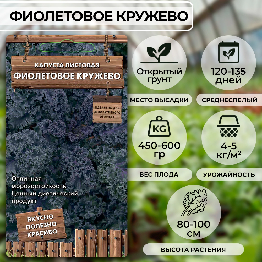 Капуста листовая Фиолетовое кружево (А) 0,1 г