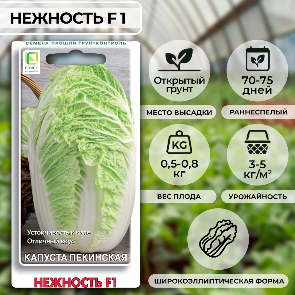 Капуста пекинская Нежность F1