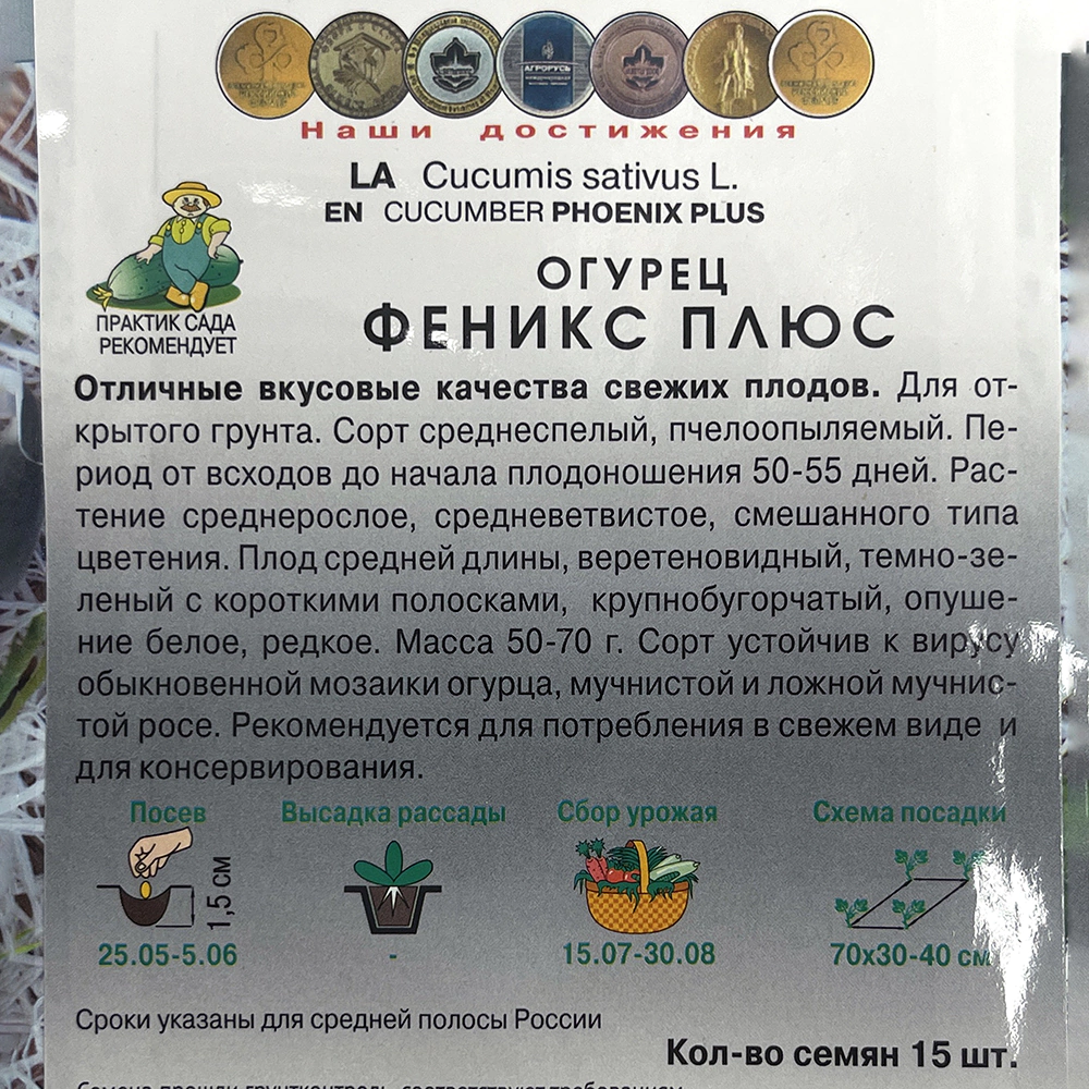 Огурец Феникс Плюс Поиск