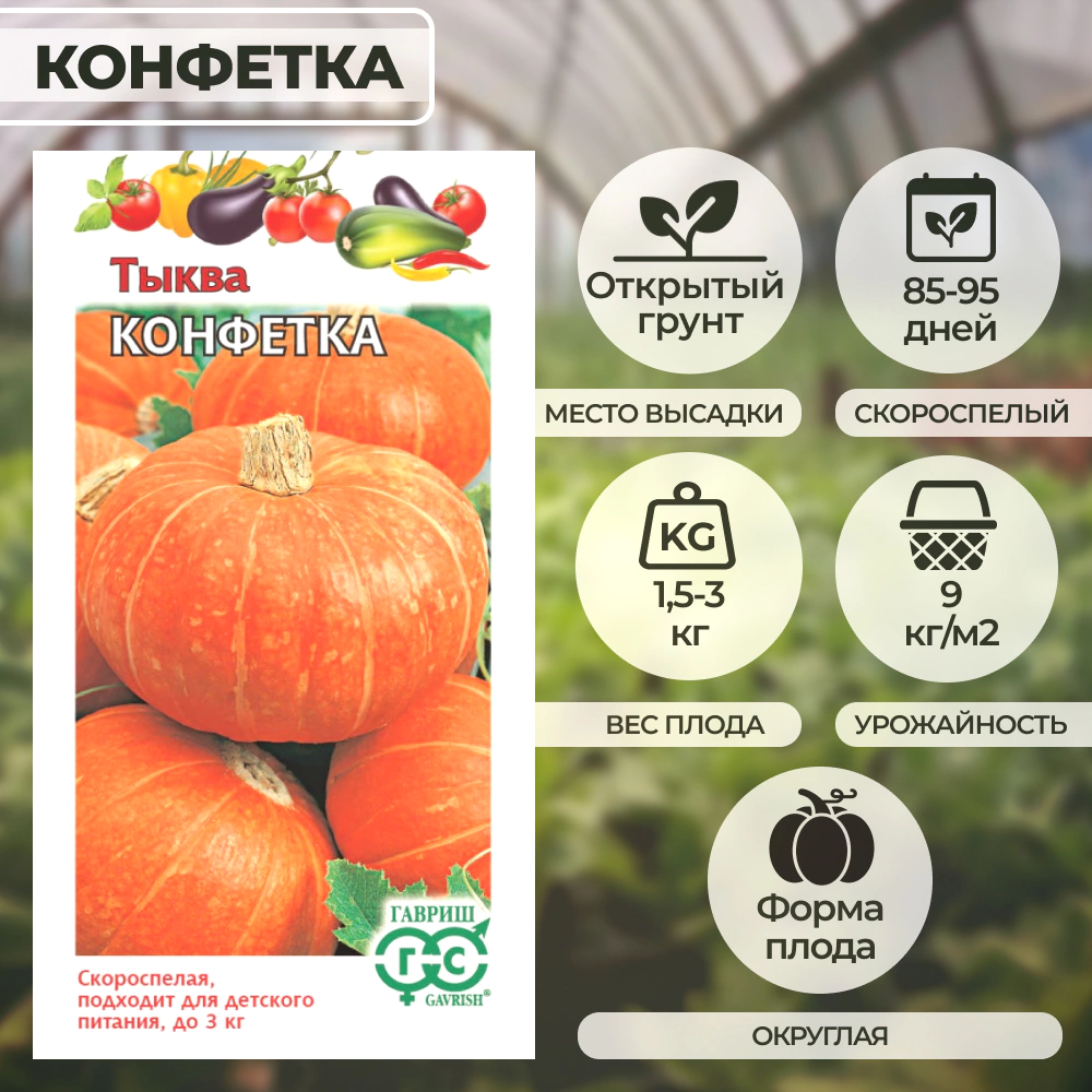 Тыква Конфетка 1 г