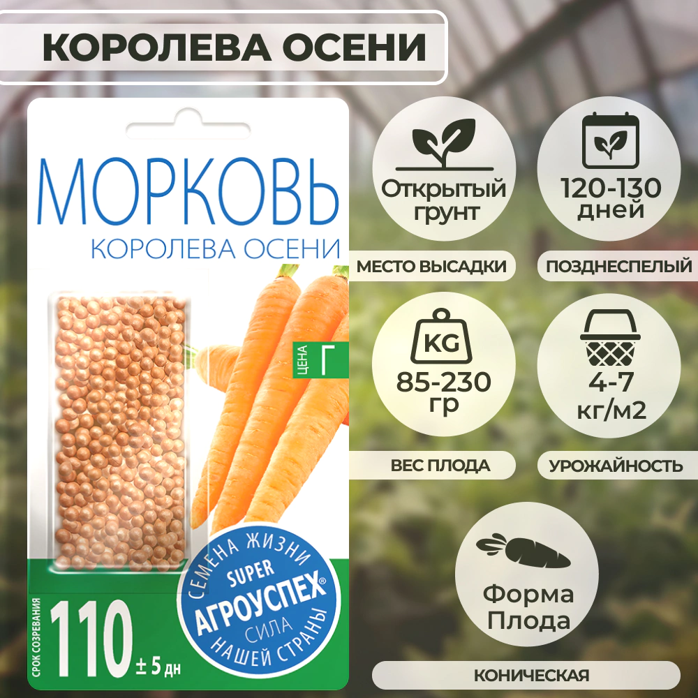 Морковь Королева Осени Агроуспех