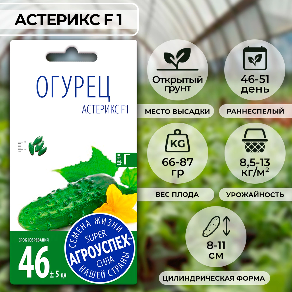Огурец Астерикс F1
