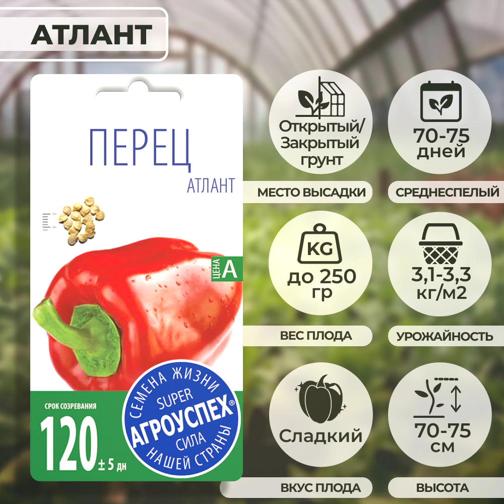 Перец Атлант крупный 0,3 г