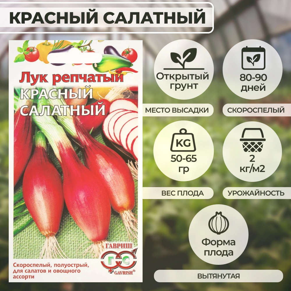 Лук репчатый Красный салатный 0,5 г