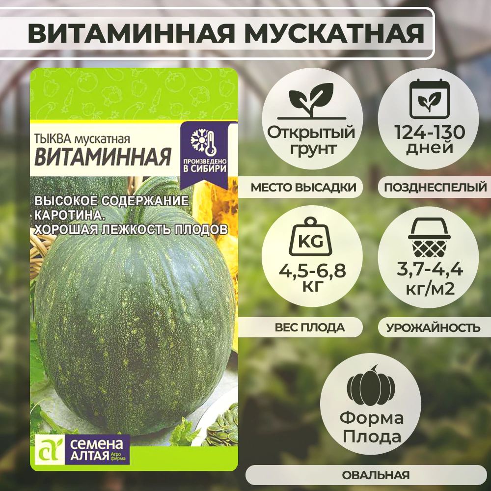Тыква мускатная Витаминная 2 г Семена Алтая