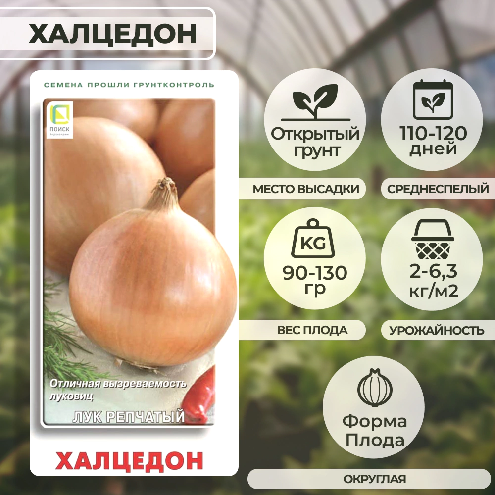 Лук репчатый Халцедон 1 г