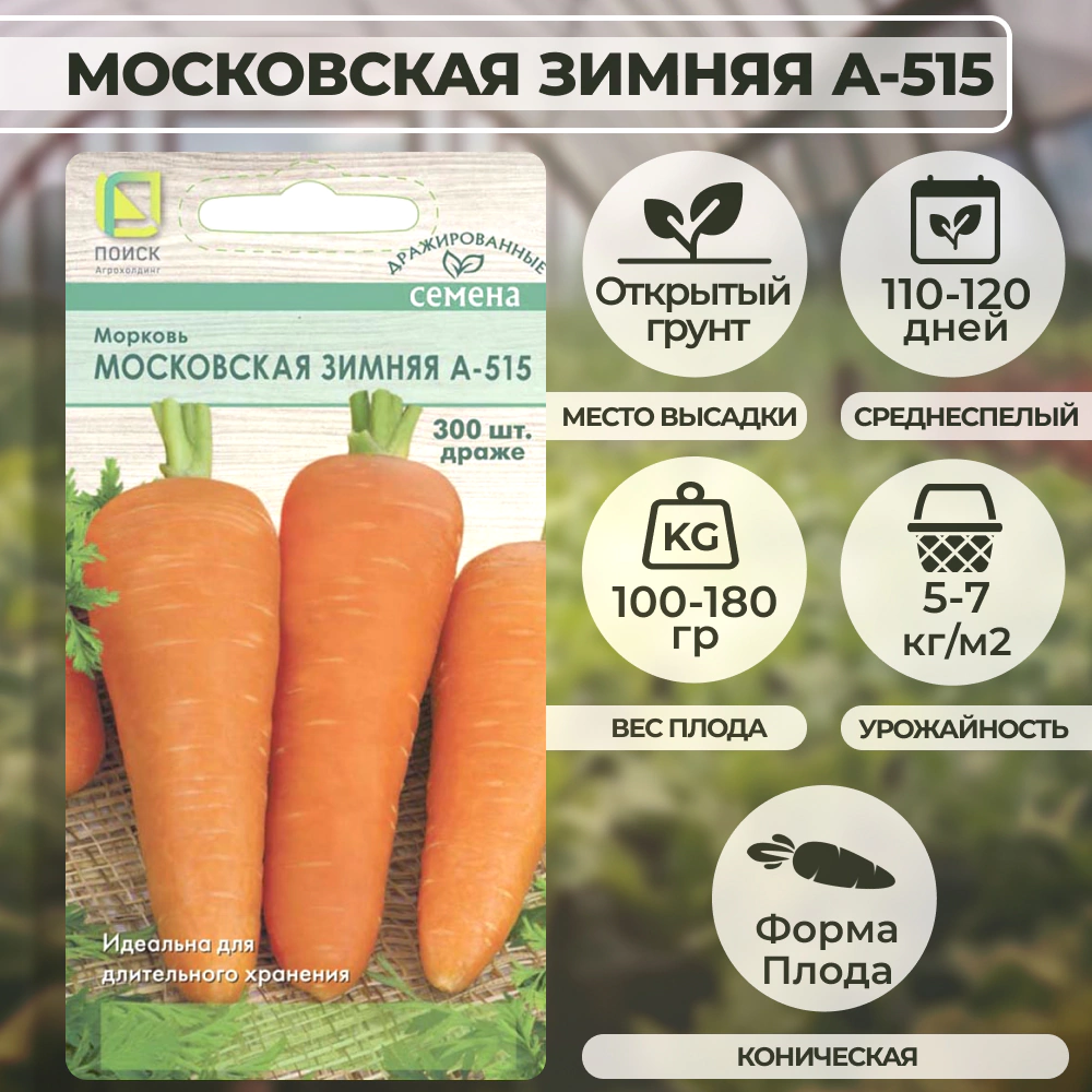 Морковь Московская Зимняя А-515 (драже) 300 шт