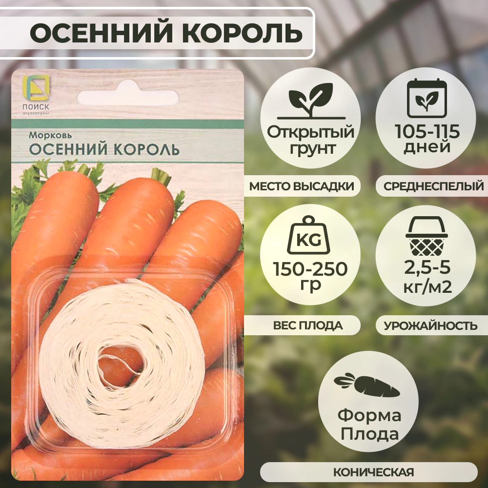 Морковь Осенний король (лента) 8 м