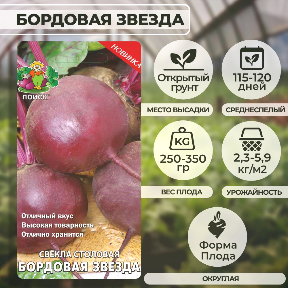 Свекла столовая Бордовая звезда (А) 3 г