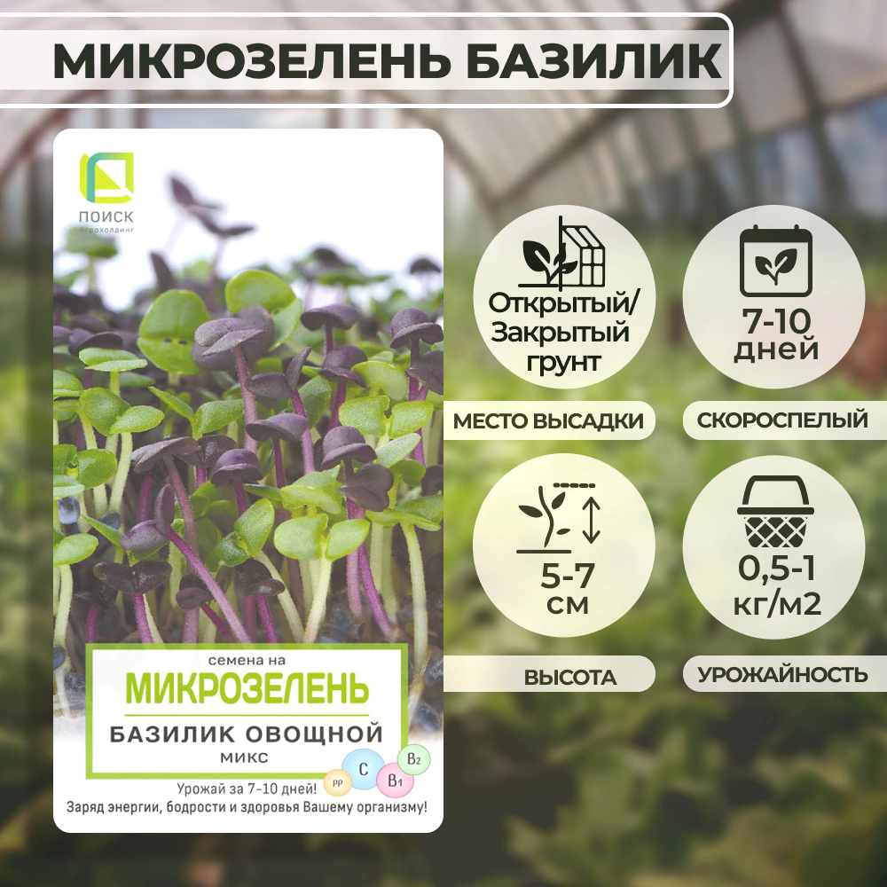 Семена на Микрозелень Базилик овощной микс 5 г