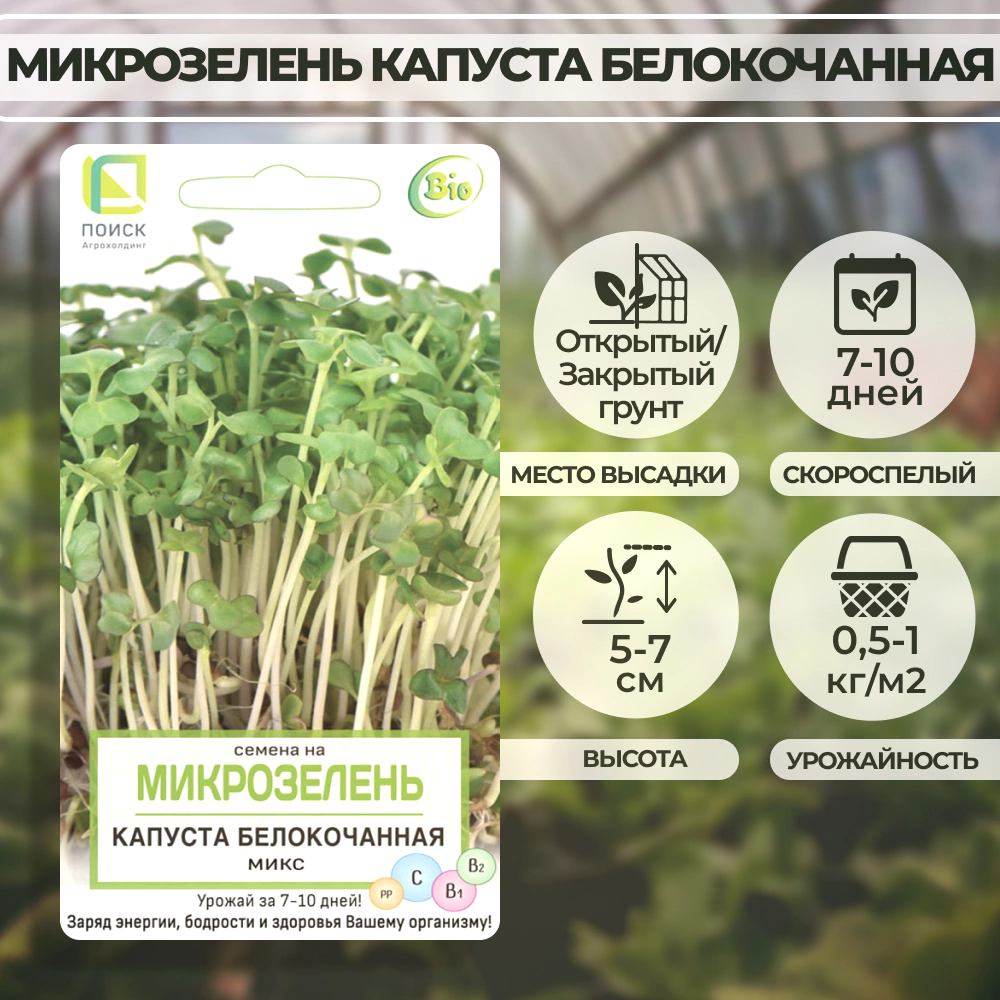 Семена на Микрозелень Капуста белокочанная микс 5 г