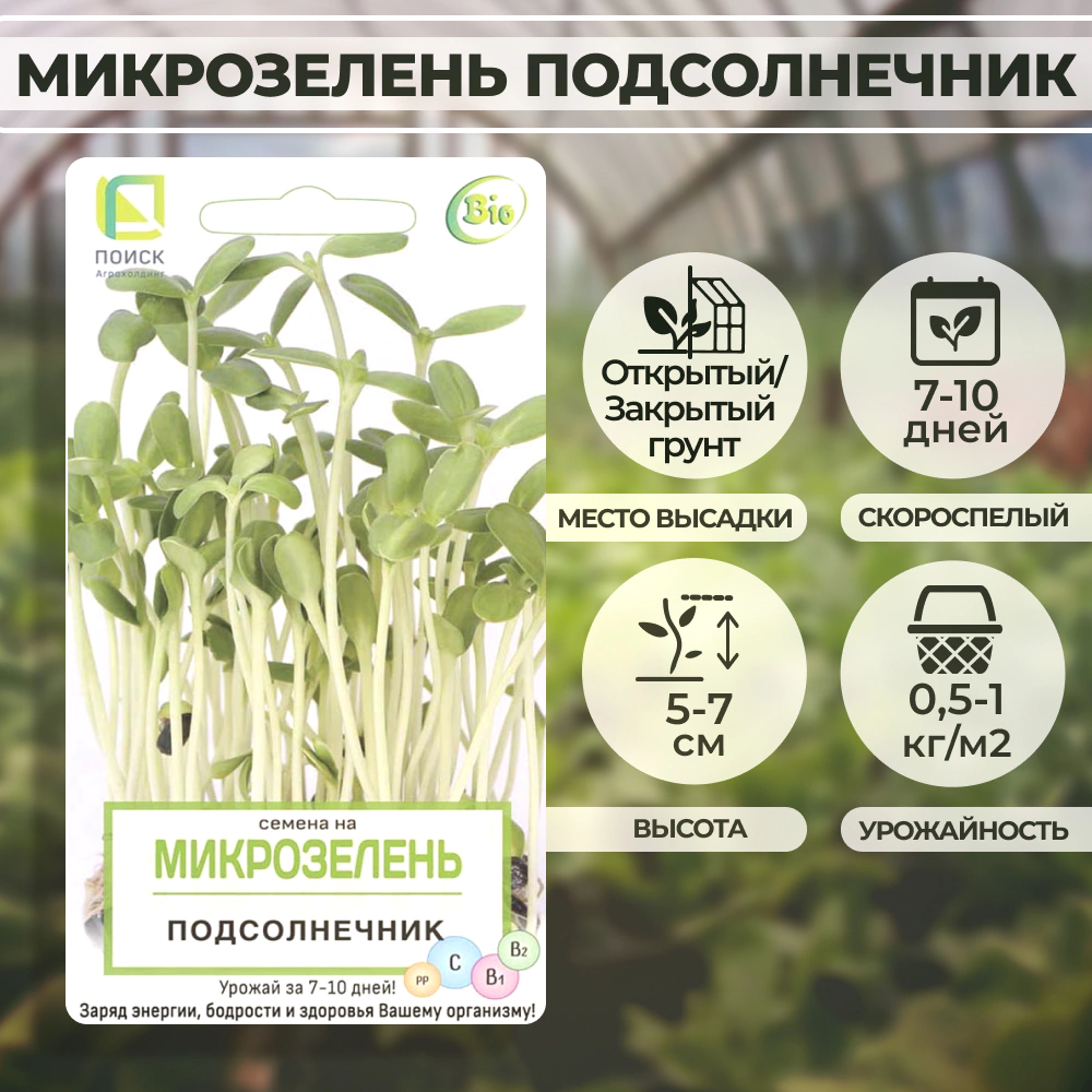 Семена на Микрозелень Подсолнечник 8 г