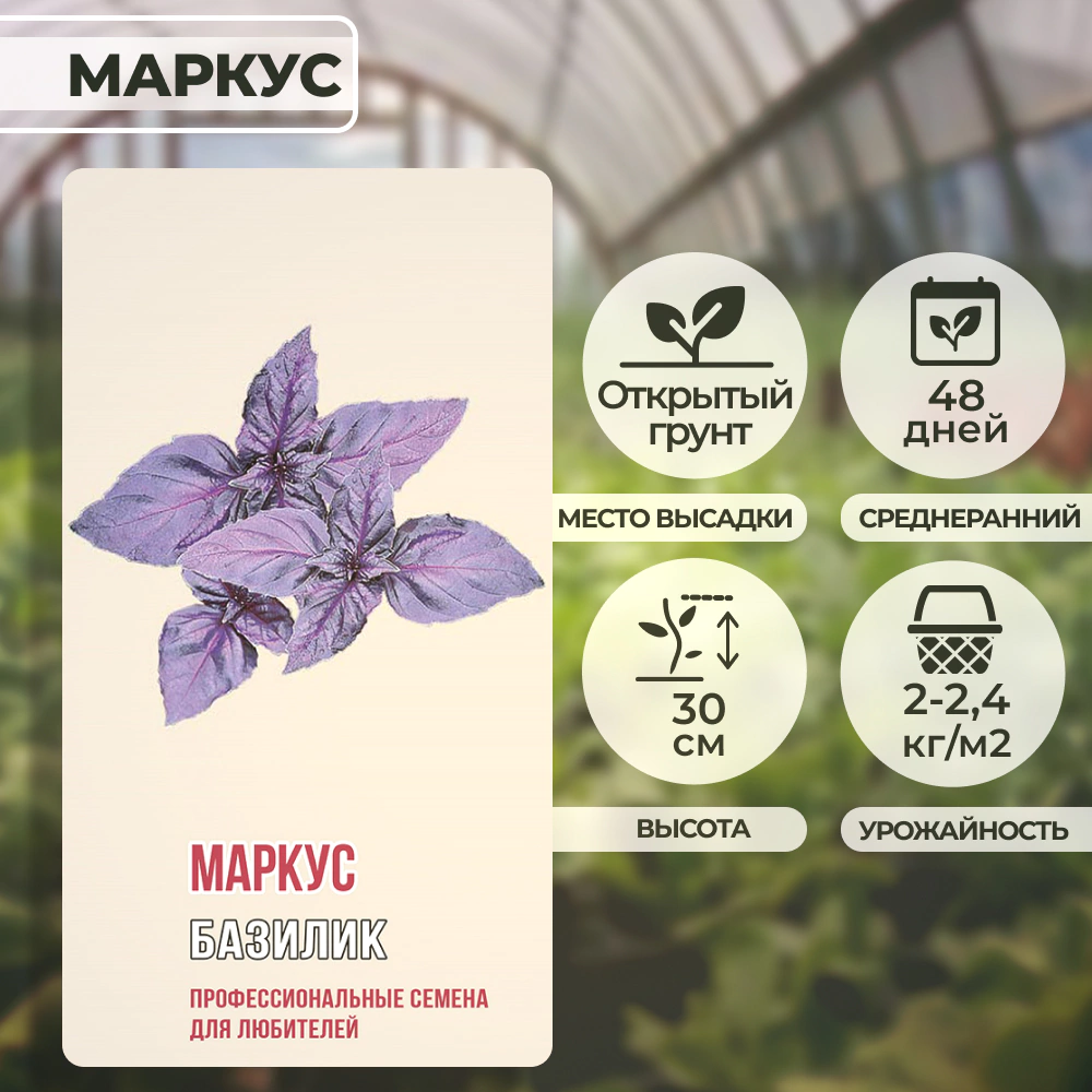 Базилик Маркус 1 г