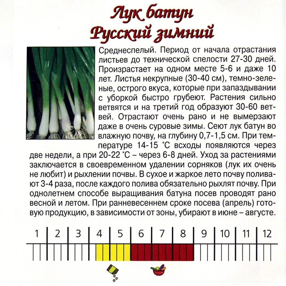 Лук батун Русский Зимний 0,5 г