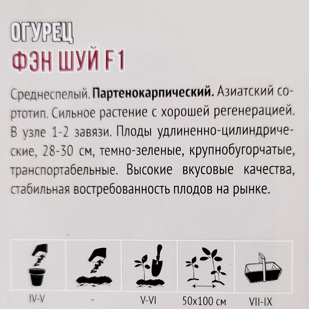 Огурец Фэн шуй F1, 5 шт