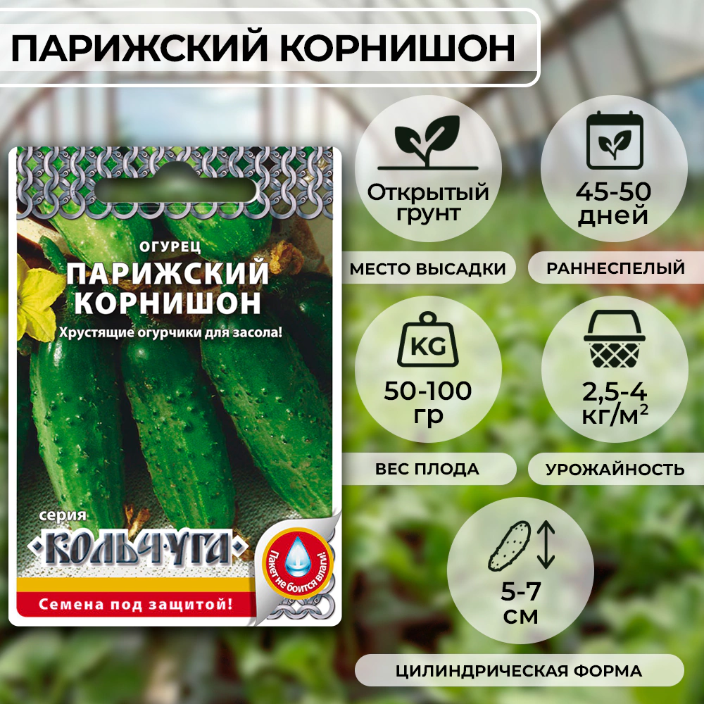 Огурец Парижский корнишон Кольчуга NEW 0,5 г