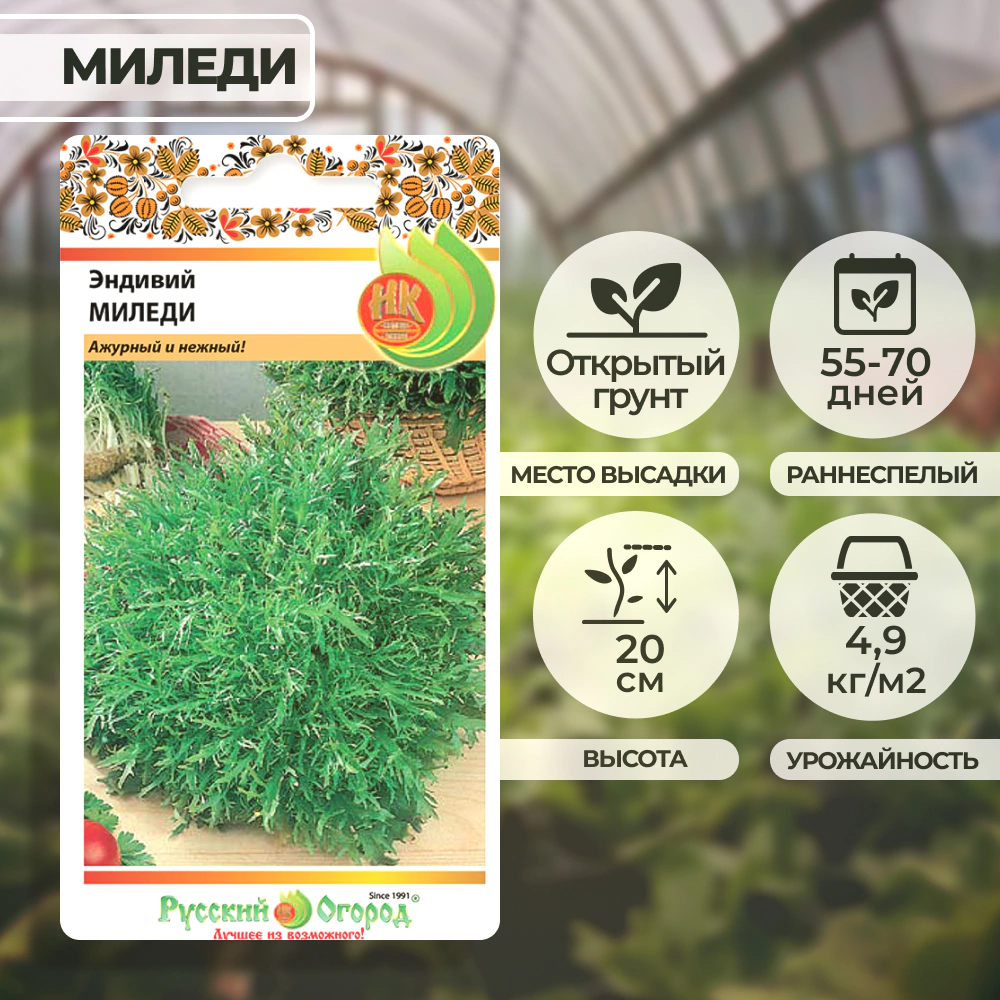 Салат листовой Эндивий Миледи 0,5 г Русский огород