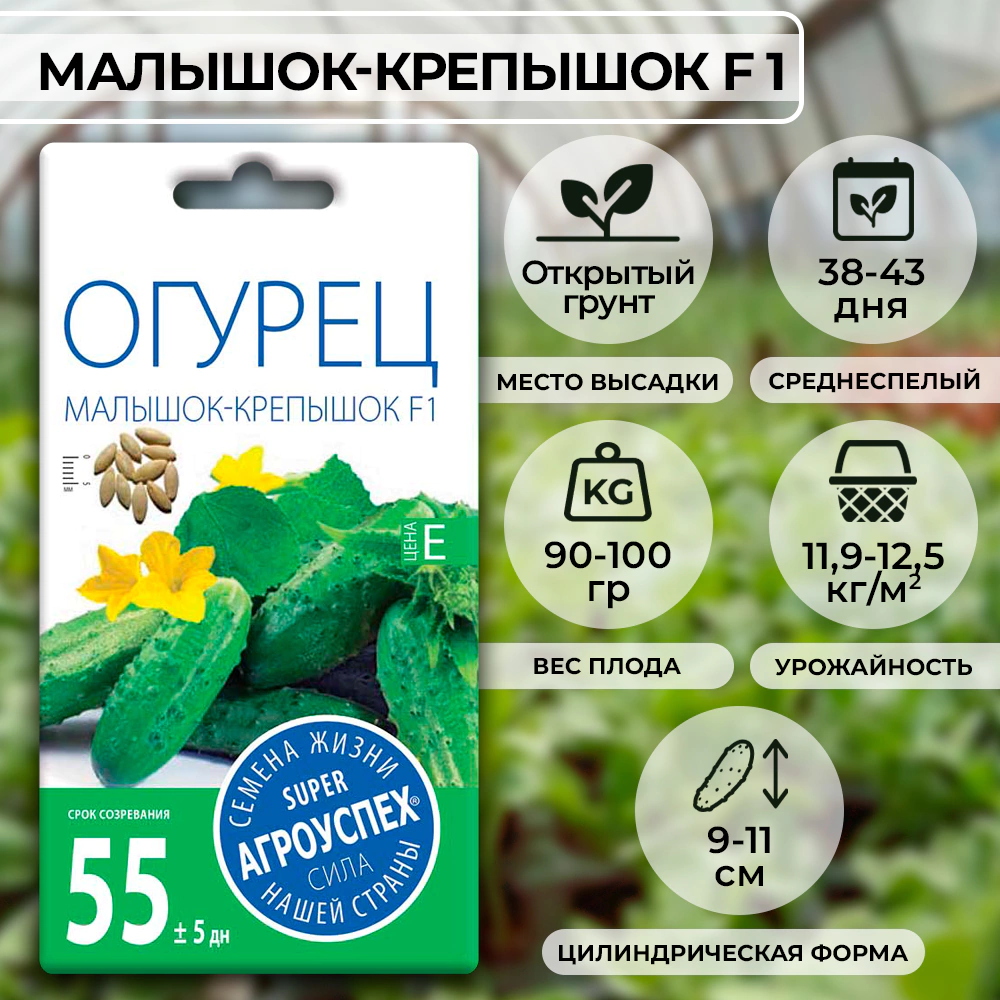 Огурец Малышок-Крепышок F1 10 шт Агроуспех