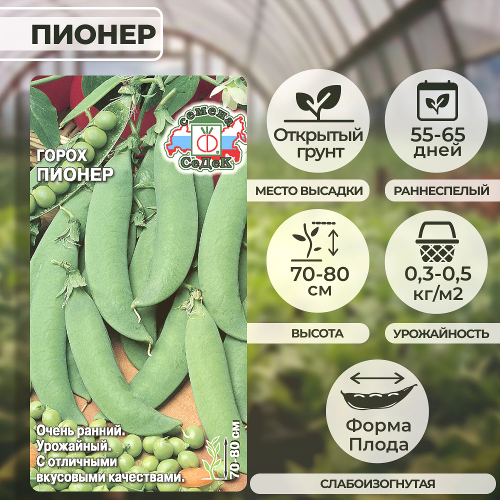 Горох Пионер 8 г
