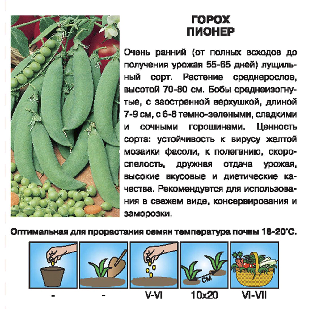 Горох Пионер 8 г