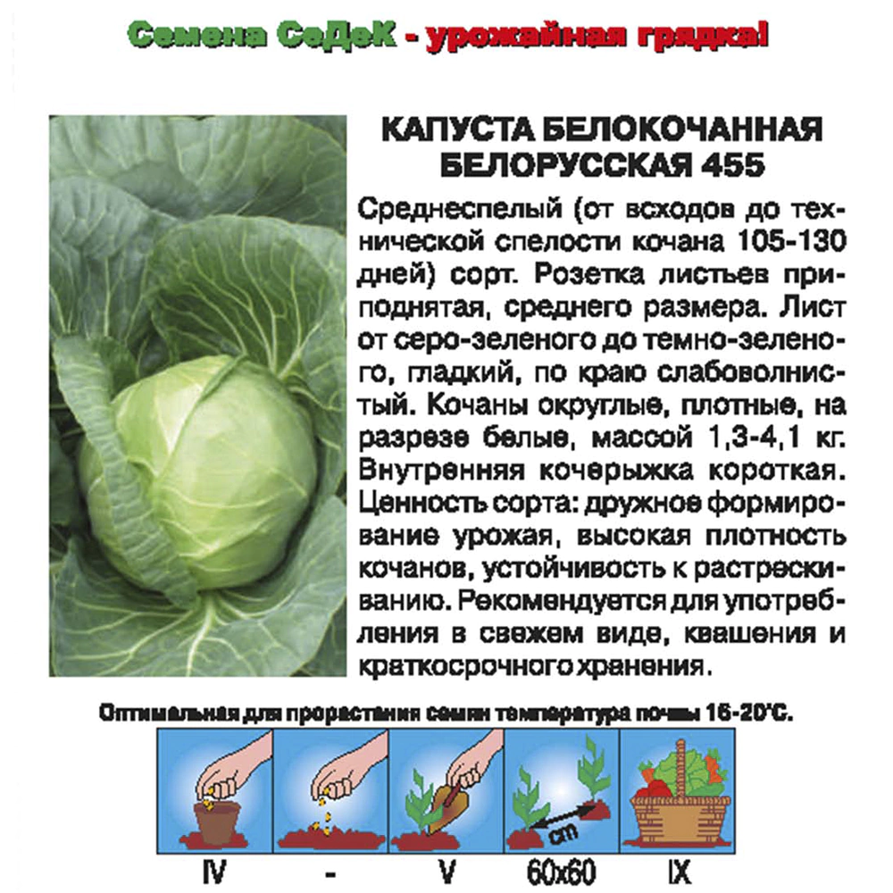 Капуста белокочанная Белорусская 455, 0,5 г