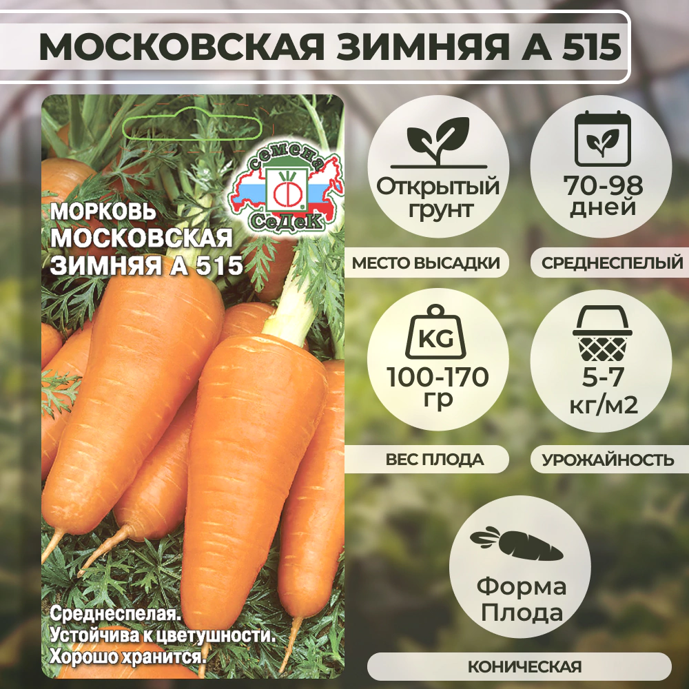 Морковь Московская Зимняя А 515, 2 г