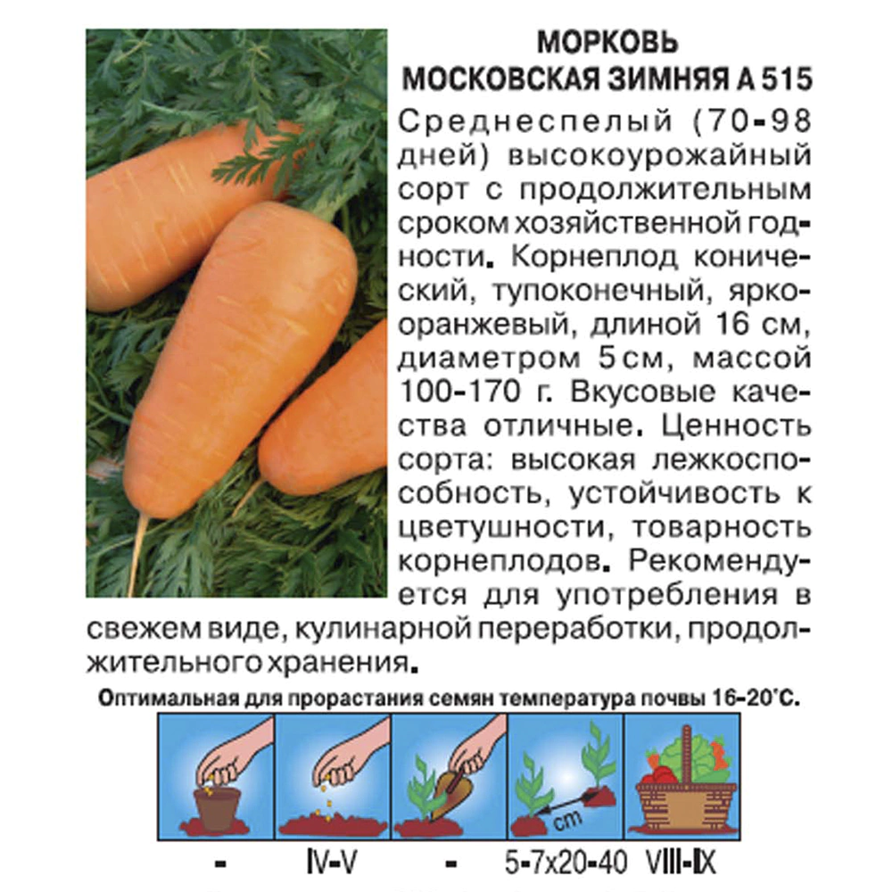 Морковь Московская Зимняя А 515, 2 г