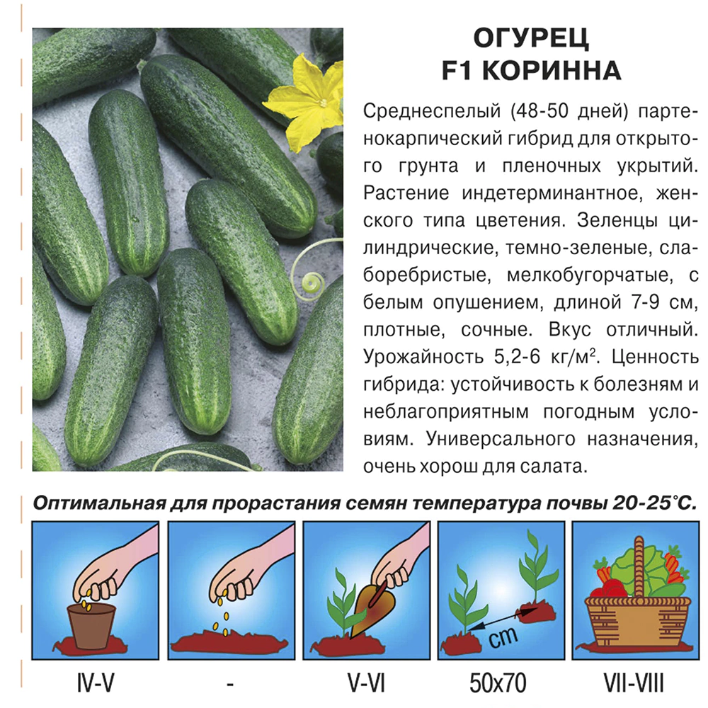 Огурец Коринна F1, 0,2 г
