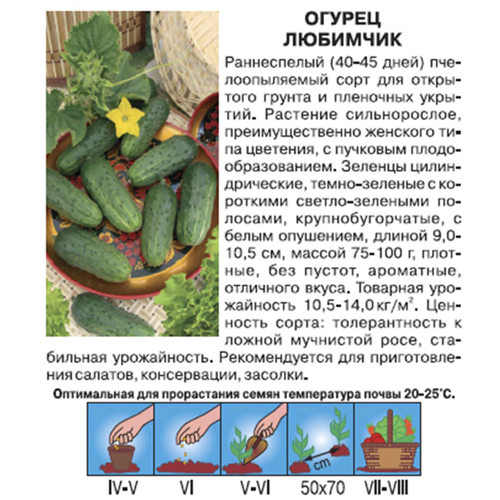 Огурец Любимчик 0,5 г