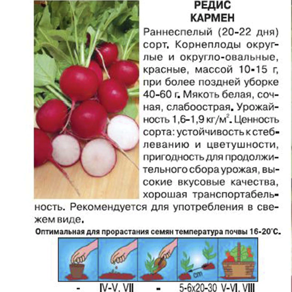 Редис Кармен 3 г