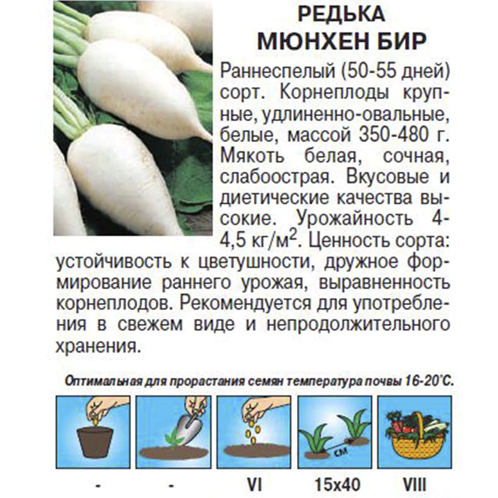 Редька Мюнхен Бир 2 г