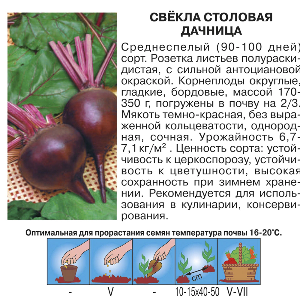 Свекла столовая Дачница 3 г