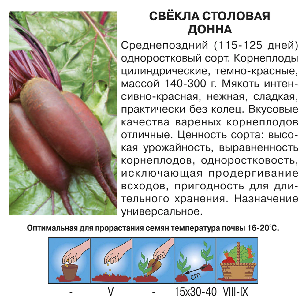 Свекла столовая Донна 3 г