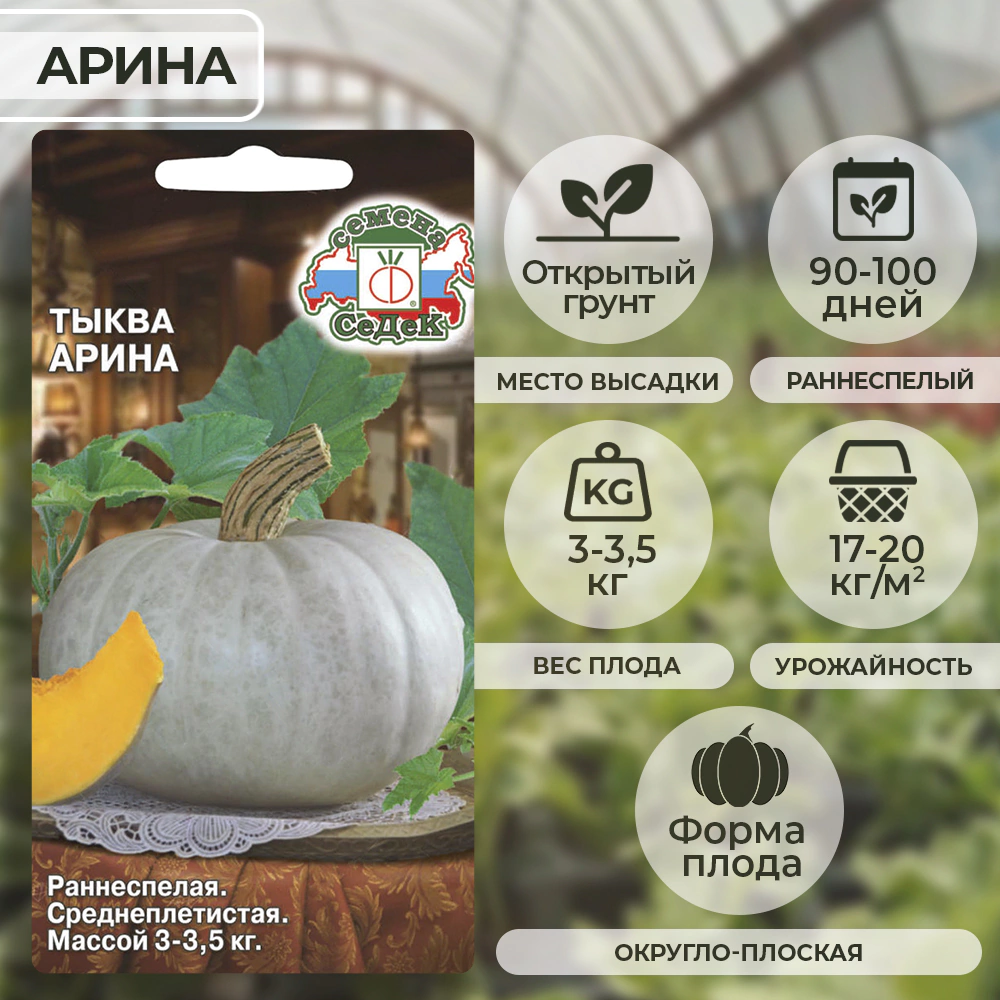 Тыква Арина 2 г