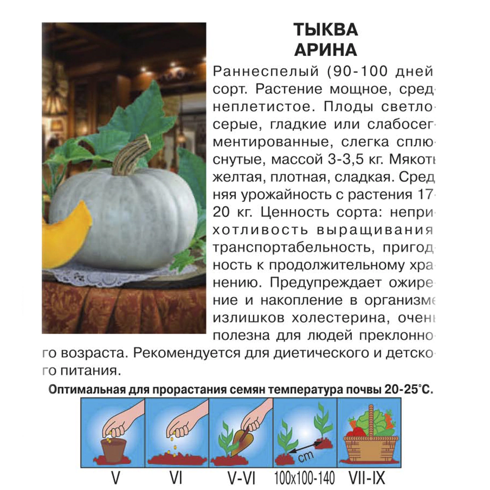Тыква Арина 2 г